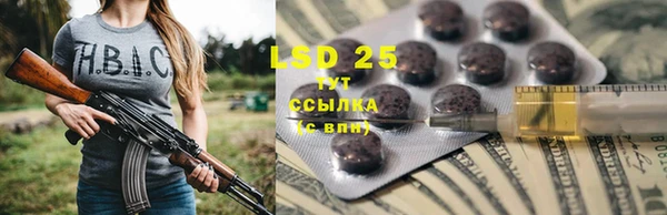 кокс Алексин