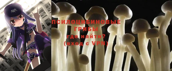 крисы Алексеевка