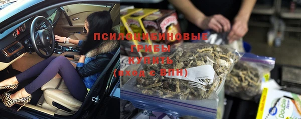 винт Алзамай