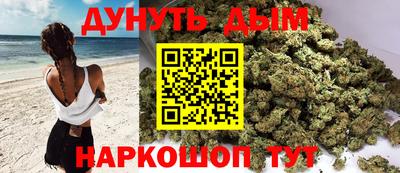 сатива Коммунар