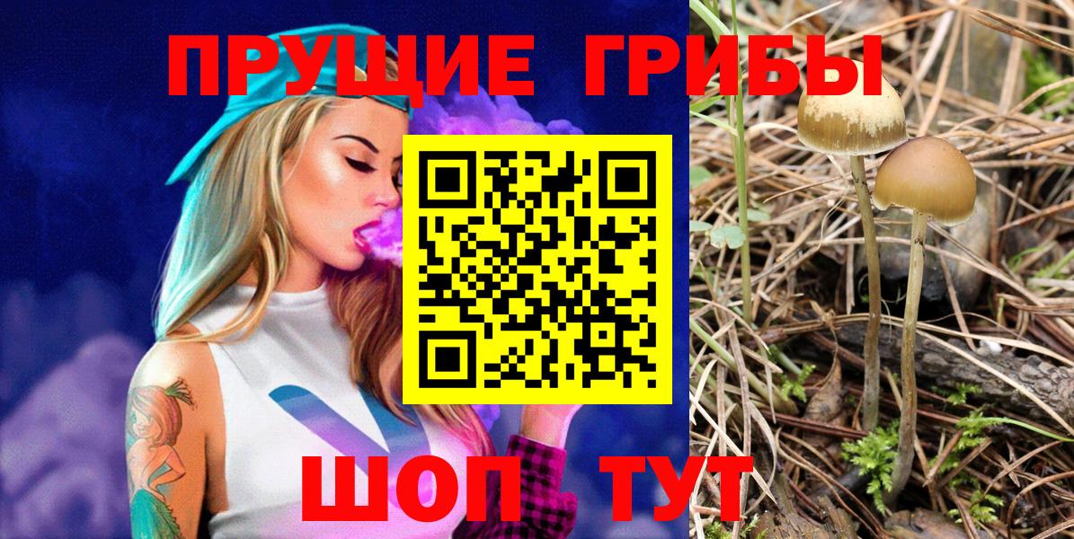 Галлюциногенные грибы прущие грибы Краснознаменск