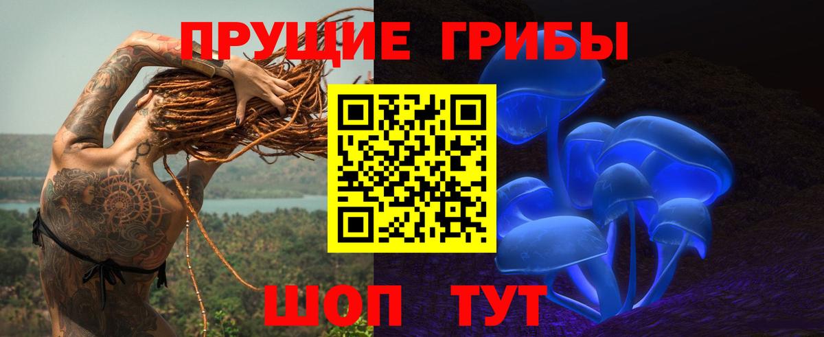 Краснознаменск  Псилоцибиновые грибы прущие грибы  Вход с VPN  Галлюциногенные грибы прущие грибы 
